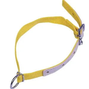 Halsriemen für Schafe, Nylon, gelb - 60 cm Preiswert